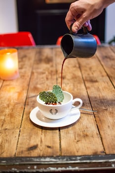 hotel not hotel amsterdam