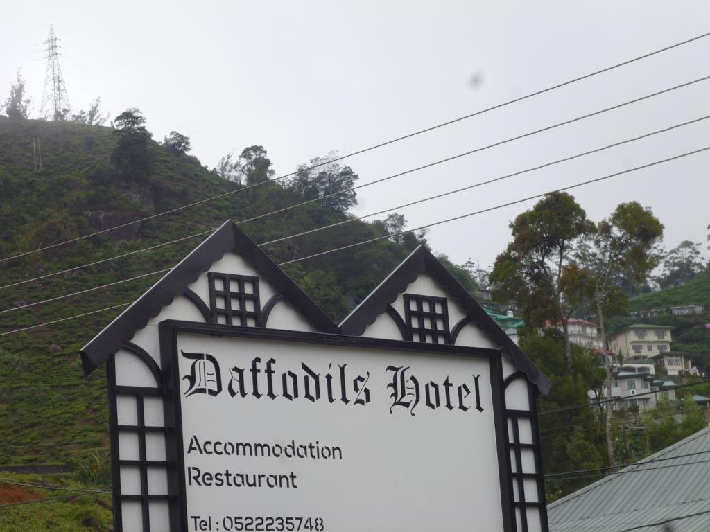 daffodils hotel