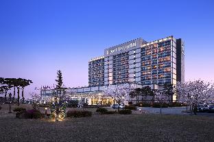 Hotel-Img