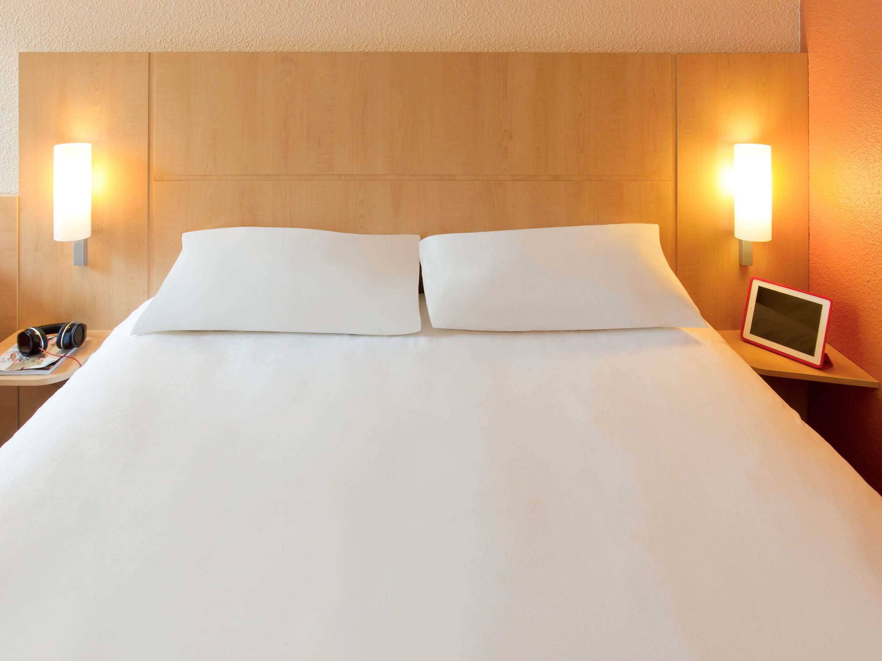 ibis roanne