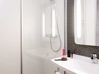 ibis roanne