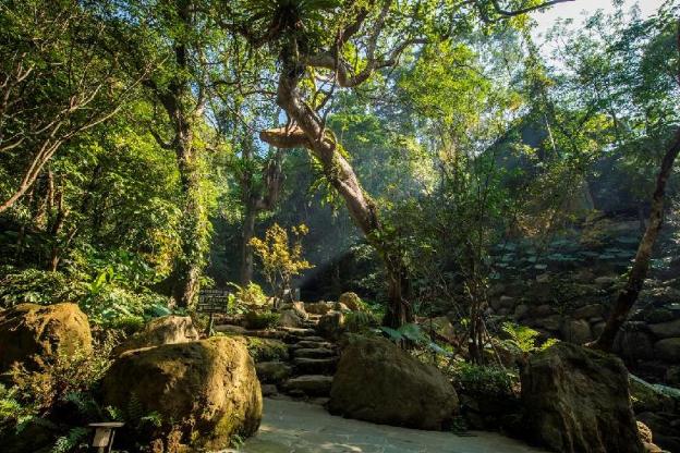 the great roots forestry spa resort