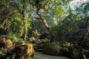 the great roots forestry spa resort