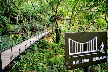 the great roots forestry spa resort