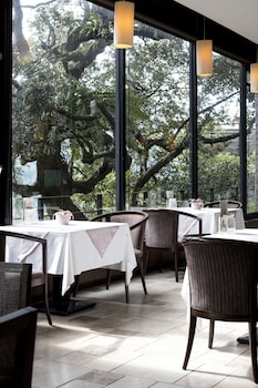 the great roots forestry spa resort