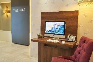 hotel the bird