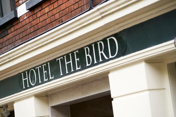 hotel the bird