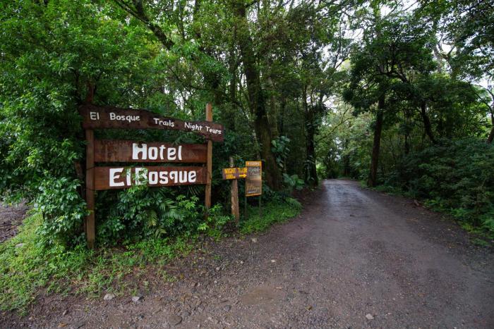 hotel el bosque