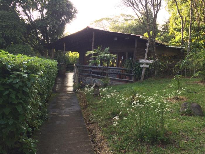 hotel el bosque