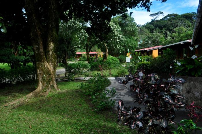 hotel el bosque