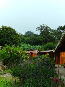 hotel el bosque