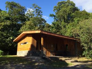 hotel el bosque