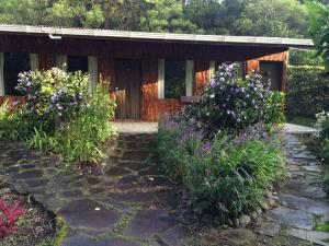 hotel el bosque