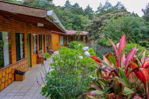 monteverde