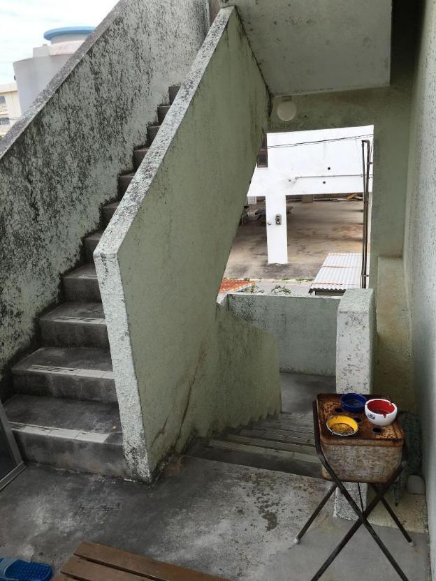 minshuku seaside house dugong