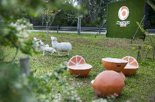 Big Orange Hotel,Kedah>>Alor Setar,3 star