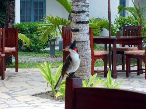 veranda palmar beach hotel all inclusive