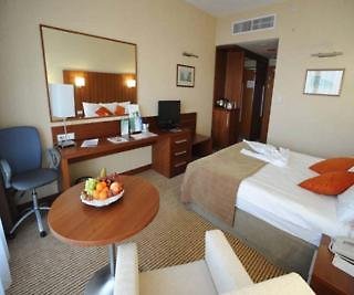Holiday Inn - Chelyabinsk, An Ihg Hotel,Chelyabinsk Oblast>>Chelyabinsk,4 star