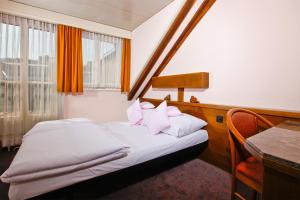 baslertor summer pool hotel