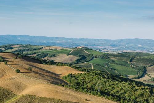 le scuole collemassari hospitality