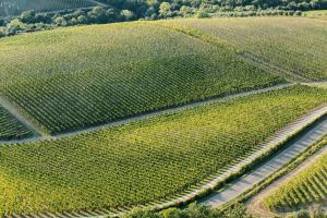 le scuole collemassari hospitality