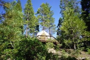 shaver lake village hotel