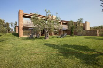 pecora vecchia collemassari hospitality
