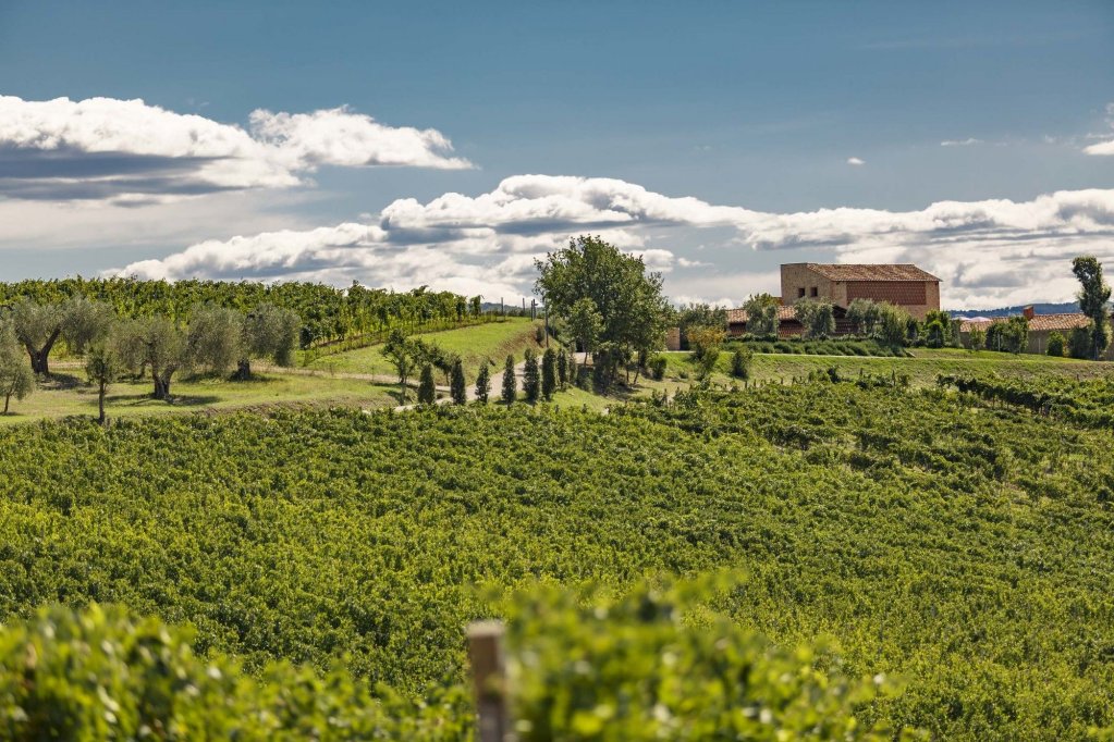 pecora vecchia collemassari hospitality