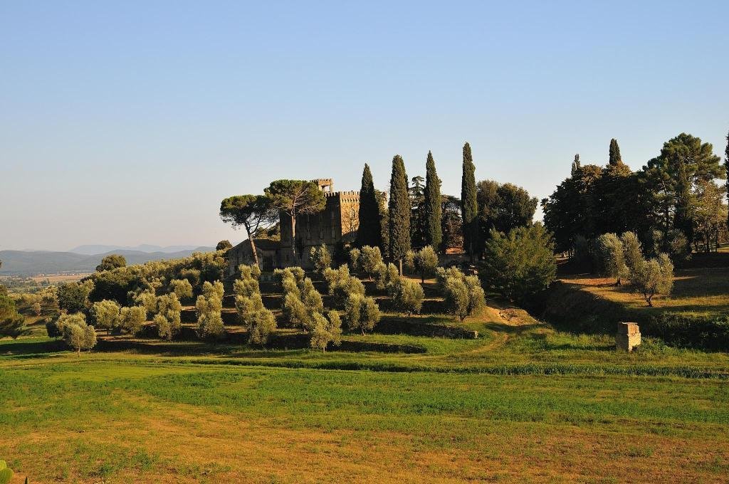 pecora vecchia collemassari hospitality