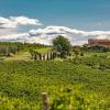 Pecora Vecchia - Collemassari Hospitality,Campagnatico>>Arcidosso,4 star