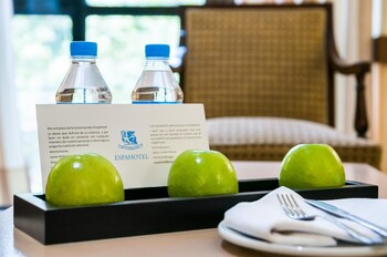 espahotel plaza basilica