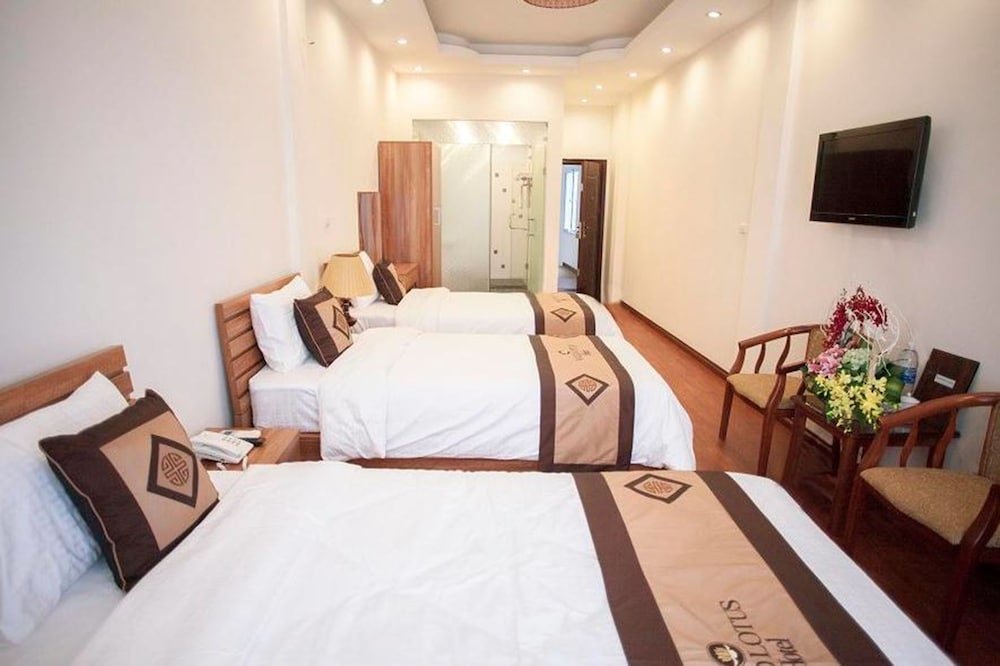 wild lotus hotel hang be