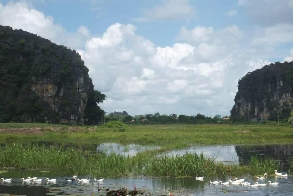 anna tham hotel view