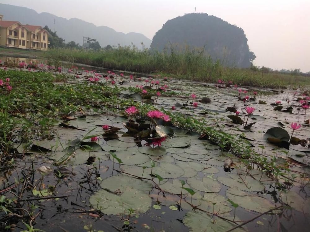 anna tham hotel view