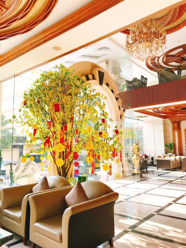 holiday one hotel