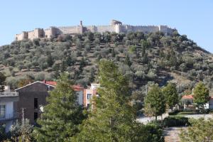 selcuk