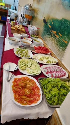 ngoc han vung tau hotel