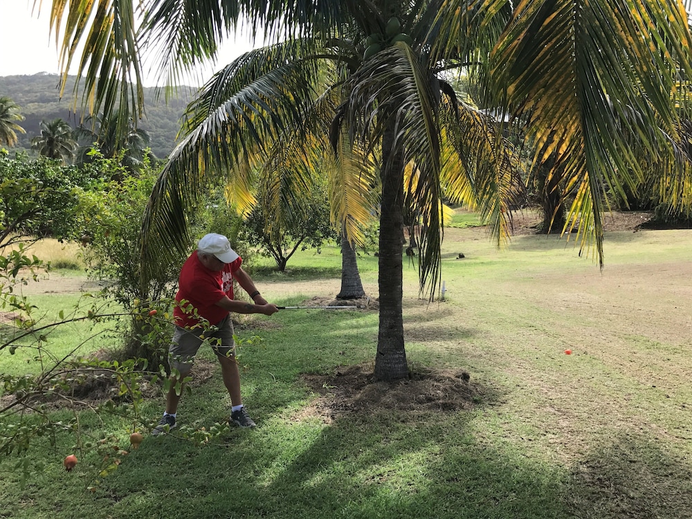 bequia island