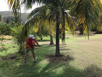 bequia island
