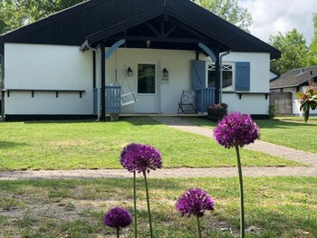 rorvig centret