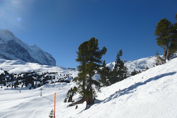 wengen