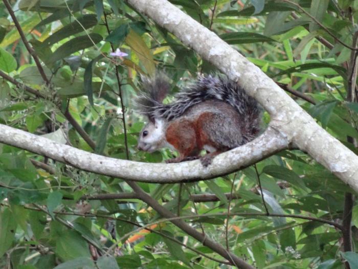 jaco lodge quiet hotel
