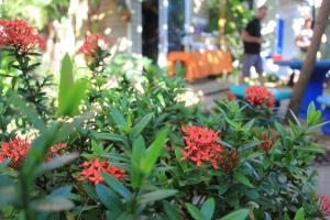 jaco lodge quiet hotel