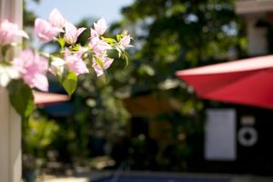 jaco lodge quiet hotel