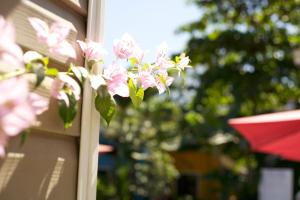 jaco lodge quiet hotel