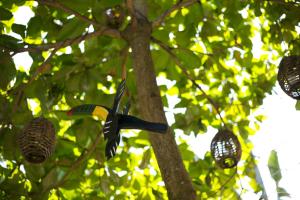jaco lodge quiet hotel