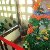 Hotel Real Azteca,Mexico City>>Coyoacan,3 star