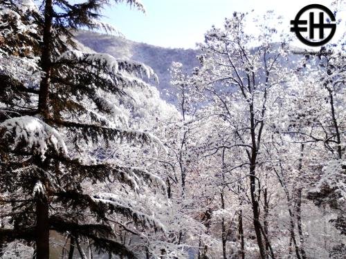 euro hotel gradce