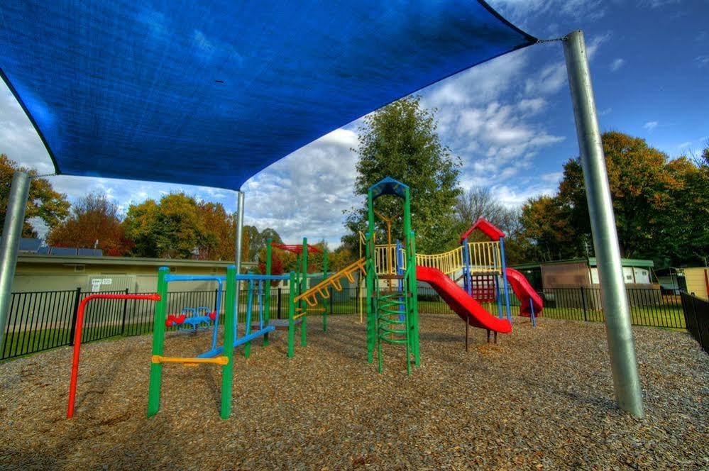 discovery parks mount buffalo