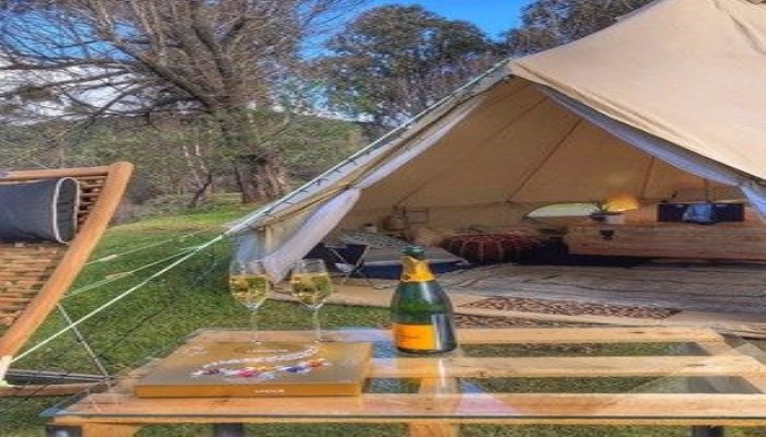 discovery parks mount buffalo